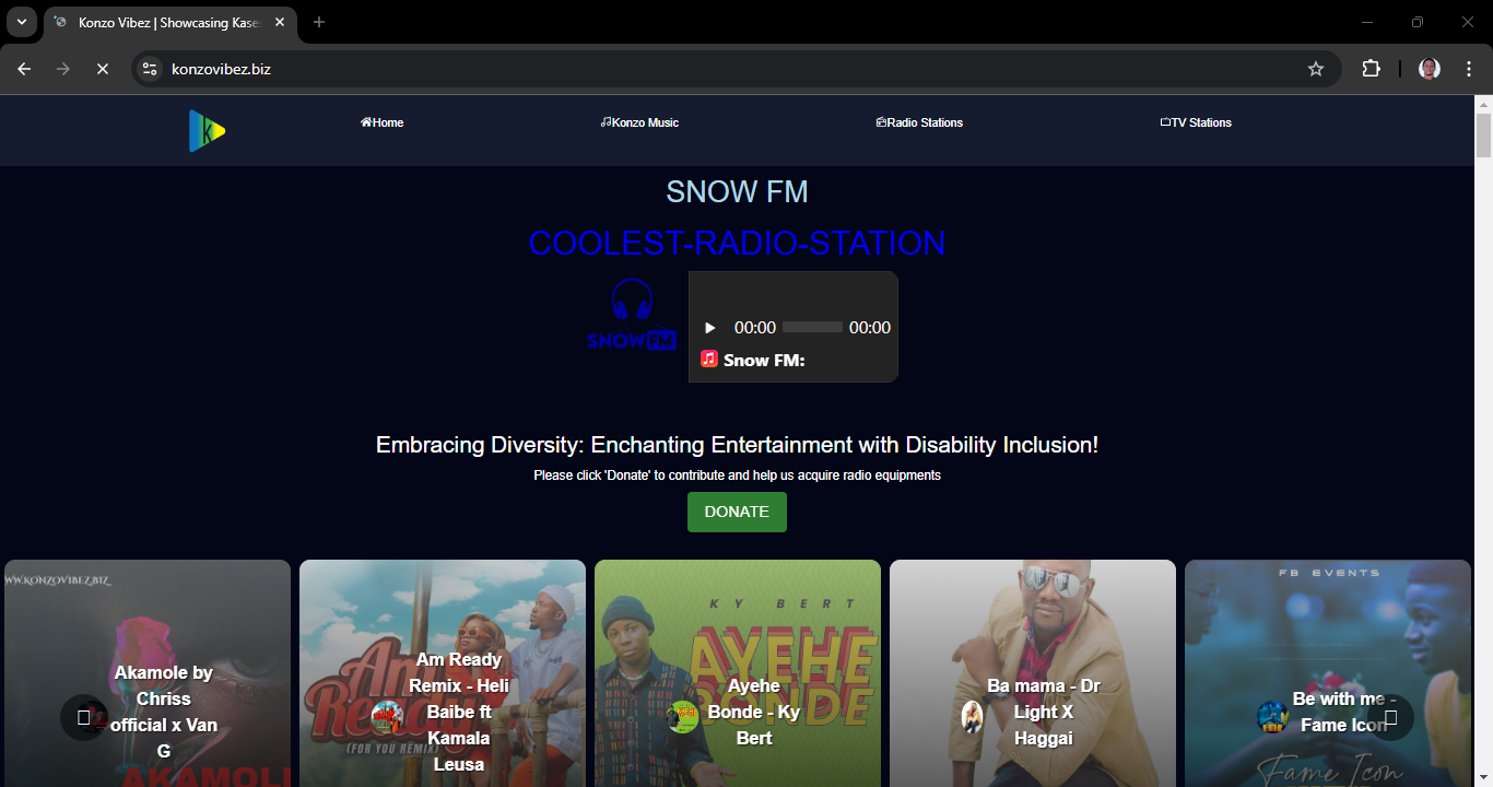 Konzo Vibez Platform project screenshot